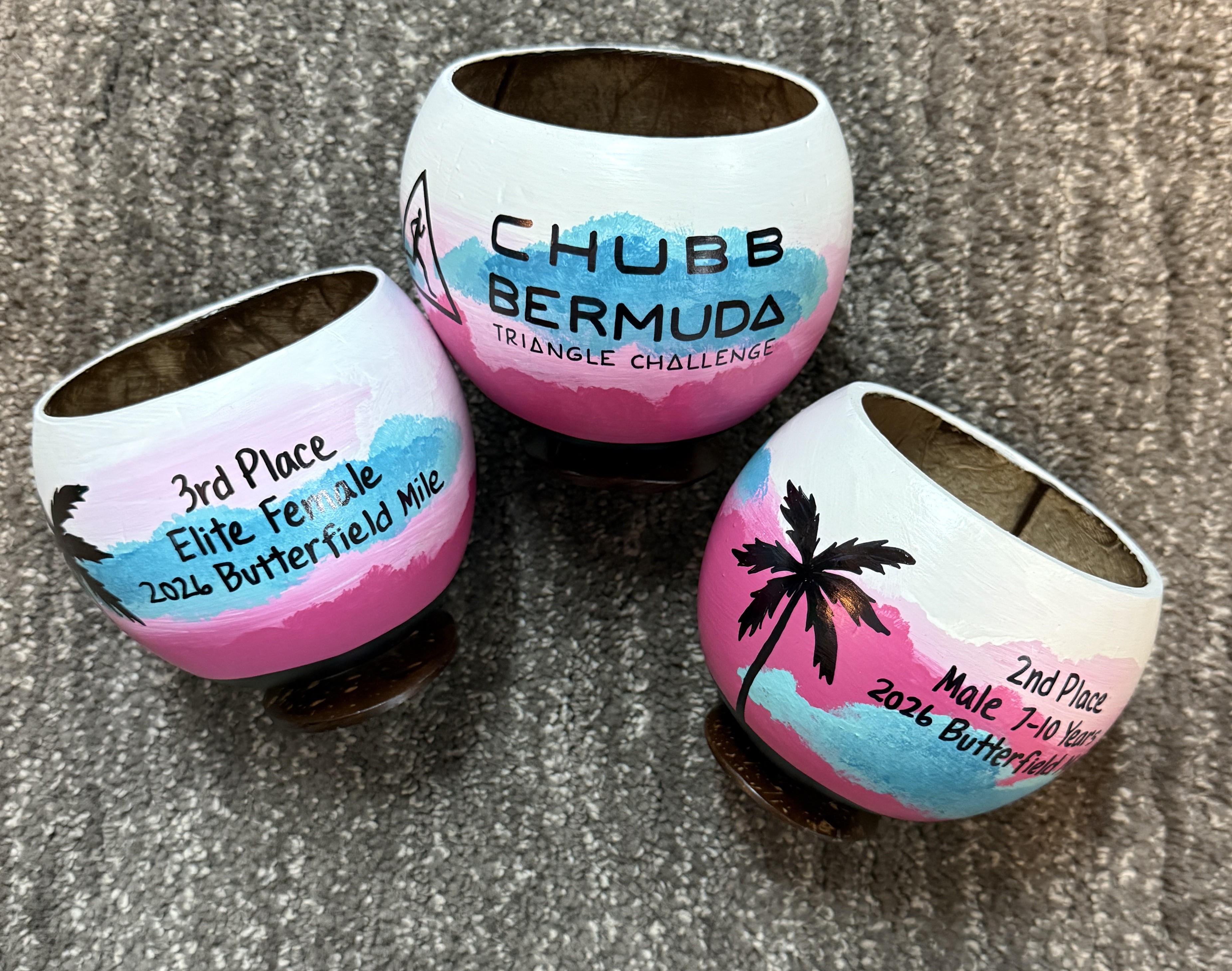 Upcycled painted coconuts make unique and fun trophies